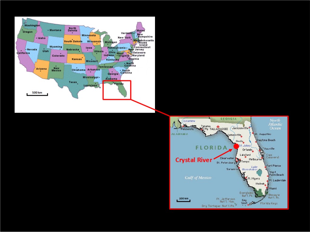 Mapa Florida - Crystal River - frediving s kapustňáky